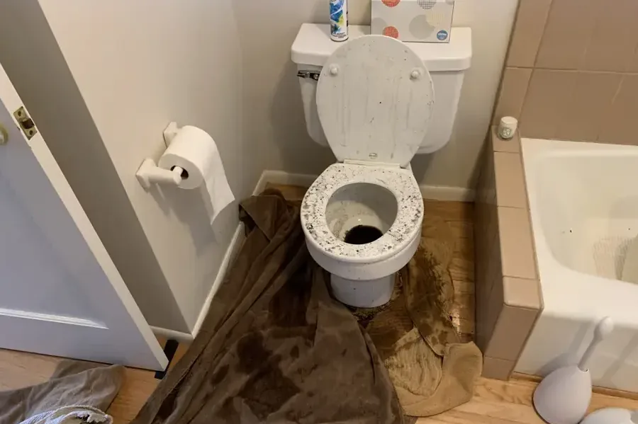 Brown water and debris cover the bathroom floor around a toilet beside a bathtub